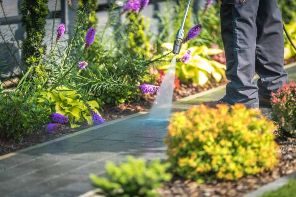 Trusted Buena Vista, GA Pressure Washing Services Experts